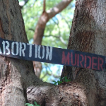 172572860_be572e6dd3-3137202246