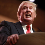 25097114163_a9ede4b342_b-3697750377