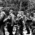 R – 2022-05-30T202619.396